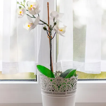 Victus Apartamenty, Victus Meru * Sopot